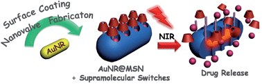 Graphical abstract: Near-infrared light-responsive supramolecular nanovalve based on mesoporous silica-coated gold nanorods