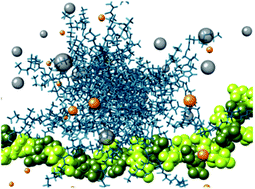 Graphical abstract: Nanoscale self-assembled multivalent (SAMul) heparin binders in highly competitive, biologically relevant, aqueous media