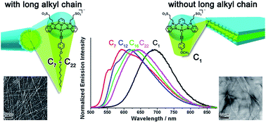 Graphical abstract: Tuning of spectroscopic properties via variation of the alkyl chain length: a systematic study of molecular structural changes on self-assembly of amphiphilic sulfonate-pendant platinum(ii) bzimpy complexes in aqueous medium