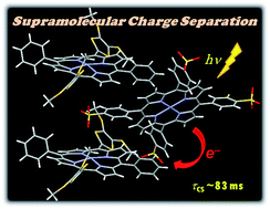 Graphical abstract: Long-lived charge-separated states produced in supramolecular complexes between anionic and cationic porphyrins