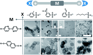 Graphical abstract: Controlling the self-assembly of cationic bolaamphiphiles: hydrotropic counteranions determine aggregated structures