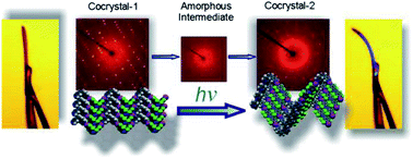 Graphical abstract: Photo-mechanical azobenzene cocrystals and in situ X-ray diffraction monitoring of their optically-induced crystal-to-crystal isomerisation