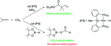 Graphical abstract: A mechanistic study of allene carboxylation with CO2 resulting in the development of a Pd(ii) pincer complex for the catalytic hydroboration of CO2