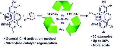 Graphical abstract: An organic cation as a silver(i) analogue for the arylation of sp2 and sp3 C–H bonds with iodoarenes