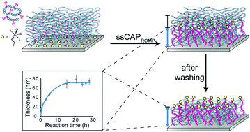 Graphical abstract: Continuous assembly of polymers via solid phase reactions