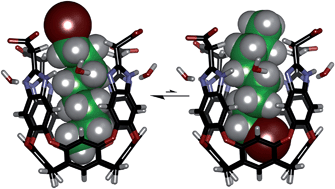 Graphical abstract: Unusual orientation and reactivity of alkyl halides in water-soluble cavitands