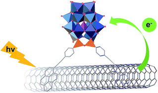 Graphical abstract: Charge transfer interactions in self-assembled single walled carbon nanotubes/Dawson–Wells polyoxometalate hybrids