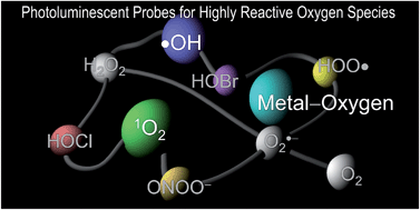 Graphical abstract: Designing photoluminescent molecular probes for singlet oxygen, hydroxyl radical, and iron–oxygen species