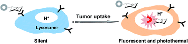 Graphical abstract: A sialic acid-targeted near-infrared theranostic for signal activation based intraoperative tumor ablation