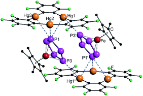 Graphical abstract: A comparative study of the coordination behavior of cyclo-P5 and cyclo-As5 ligand complexes towards the trinuclear Lewis acid complex (perfluoro-ortho-phenylene)mercury