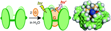 Graphical abstract: An aqueous molecular tube with polyaromatic frameworks capable of binding fluorescent dyes