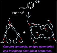 Graphical abstract: Biphen[n]arenes