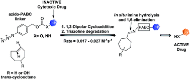 Graphical abstract: Bioorthogonal prodrug activation driven by a strain-promoted 1,3-dipolar cycloaddition