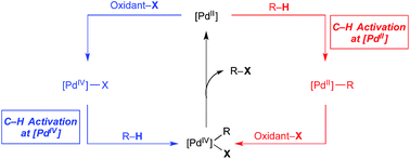 Graphical abstract: Carbon–hydrogen (C–H) bond activation at PdIV: a Frontier in C–H functionalization catalysis