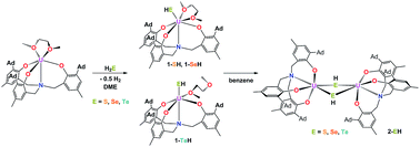 Graphical abstract: Reactivity of uranium(iii) with H2E (E = S, Se, Te): synthesis of a series of mononuclear and dinuclear uranium(iv) hydrochalcogenido complexes