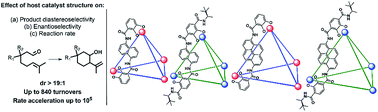 Graphical abstract: The effect of host structure on the selectivity and mechanism of supramolecular catalysis of Prins cyclizations