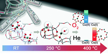 Graphical abstract: Revisiting the nature of Cu sites in the activated Cu-SSZ-13 catalyst for SCR reaction