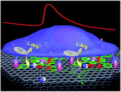 Graphical abstract: Functionalized graphene-based biomimetic microsensor interfacing with living cells to sensitively monitor nitric oxide release