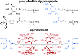 Graphical abstract: Facile synthesis of oligoyne amphiphiles and their rotaxanes