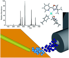 Graphical abstract: Mechanistic analysis of an asymmetric palladium-catalyzed conjugate addition of arylboronic acids to β-substituted cyclic enones