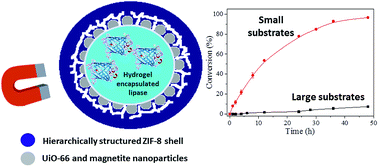 Graphical abstract: Magnetic MOF microreactors for recyclable size-selective biocatalysis