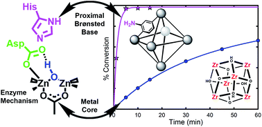 Graphical abstract: Exploiting parameter space in MOFs: a 20-fold enhancement of phosphate-ester hydrolysis with UiO-66-NH2