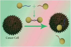 Graphical abstract: Long-range two-photon scattering spectroscopy ruler for screening prostate cancer cells