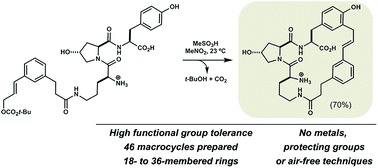 Graphical abstract: Large ring-forming alkylations provide facile access to composite macrocycles