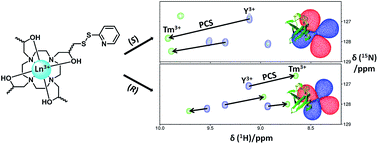 Graphical abstract: Compact, hydrophilic, lanthanide-binding tags for paramagnetic NMR spectroscopy