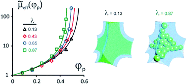 Graphical abstract: Flow and jamming of granular suspensions in foams