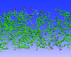 Graphical abstract: Nanostructuring of the conjugated polyelectrolyte poly[9,9-bis(4-sulfonylbutoxyphenyl)fluorene-2,7-diyl-2,2′-bithiophene] in liquid crystalline C12E4 in bulk water and aligned thin films