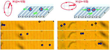 Graphical abstract: Tunable interactions between paramagnetic colloidal particles driven in a modulated ratchet potential