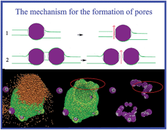 Graphical abstract: A spontaneous penetration mechanism of patterned nanoparticles across a biomembrane