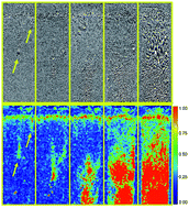 Graphical abstract: Time-evolution scenarios for short-range depletion gels subjected to the gravitational stress