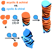 Graphical abstract: Chiral/ring closed vs. achiral/open chain triazine-based organogelators: induction and amplification of supramolecular chirality in organic gels