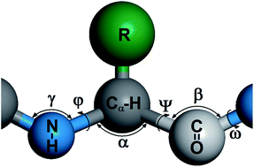 Graphical abstract: Effects of hydrophobic interaction strength on the self-assembled structures of model peptides