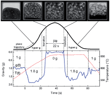 Graphical abstract: Analysis of liquid metal foams through X-ray radioscopy and microgravity experiments