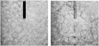 Graphical abstract: Coalescence of dry foam under water injection