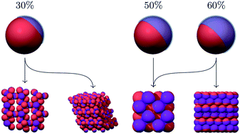 Graphical abstract: Equilibrium phases of one-patch colloids with short-range attractions