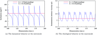 Graphical abstract: Interplay between microdynamics and macrorheology in vesicle suspensions