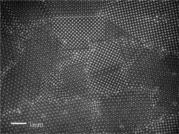 Graphical abstract: Bubbles and foams in microfluidics