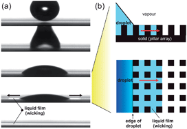 Graphical abstract: Pinning and wicking in regular pillar arrays