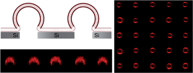 Graphical abstract: Driving a planar model system into the 3rd dimension: generation and control of curved pore-spanning membrane arrays