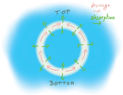 Graphical abstract: Gas dissolution in antibubble dynamics