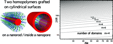 Graphical abstract: Ripple structures of mixed homopolymer brushes grafted on cylindrical surfaces: controlling the orientation of the pattern by attuning the substrate curvatures