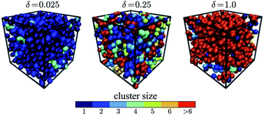 Graphical abstract: Structure of a tractable stochastic mimic of soft particles