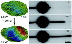 Graphical abstract: Buckling of dielectric elastomeric plates for soft, electrically active microfluidic pumps