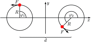 Graphical abstract: Effects of thermal fluctuations and fluid compressibility on hydrodynamic synchronization of microrotors at finite oscillatory Reynolds number: a multiparticle collision dynamics simulation study