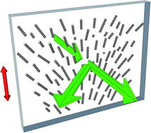 Graphical abstract: Elasticity, viscosity, and orientational fluctuations of a lyotropic chromonic nematic liquid crystal disodium cromoglycate