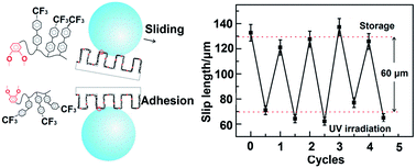 Graphical abstract: Photoresponsive superhydrophobic coating for regulating boundary slippage